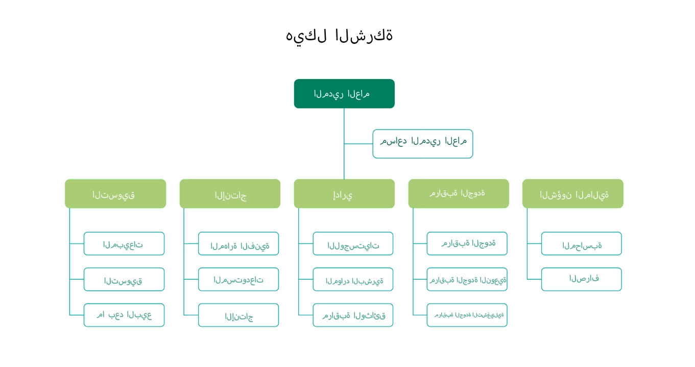 هيكل الشركة